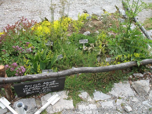 KARLOBAG > Nationalpark Velebit > Safari 8