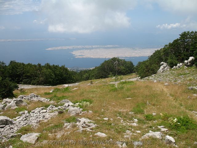 KARLOBAG > Nationalpark Velebit > Safari 5