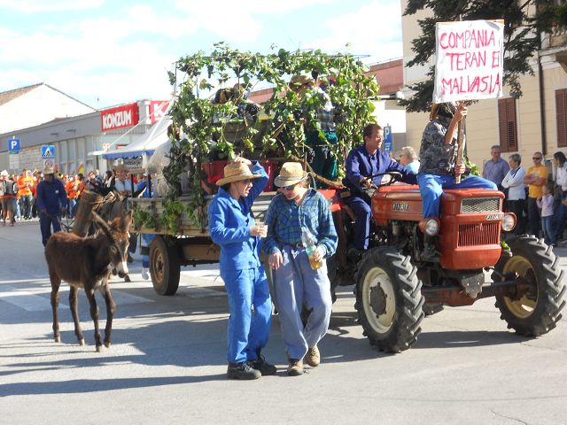Traubenfest in Buje 6