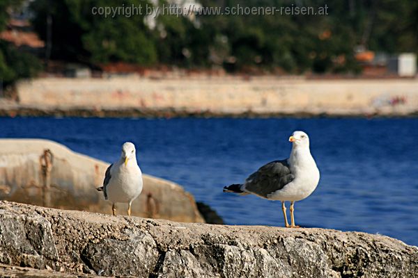 Rovinj 6