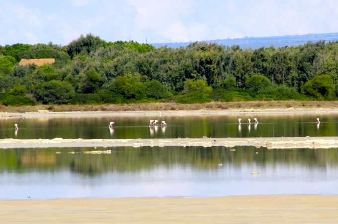 Westküste + Zentralsardinien 4