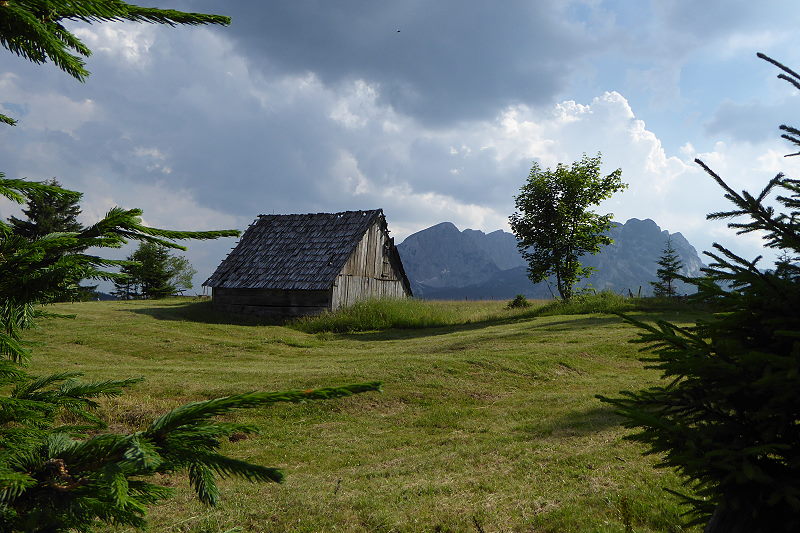 DURMITOR