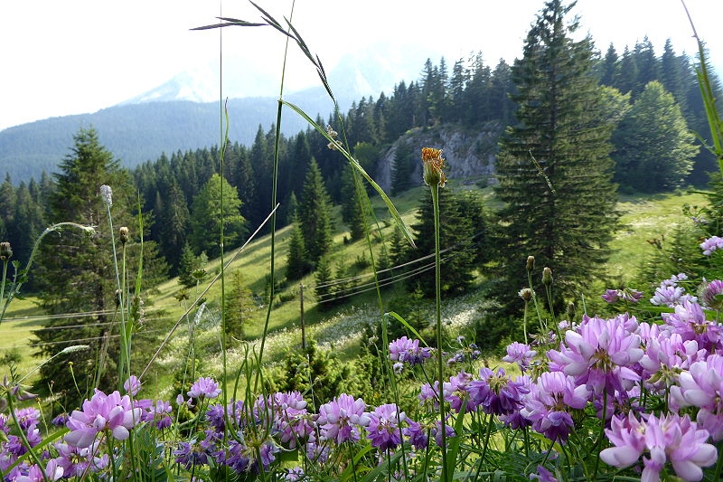 25 Zabljak Spaziergang Ivan Do 048 800