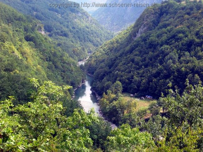 Rafting auf der Tara 2