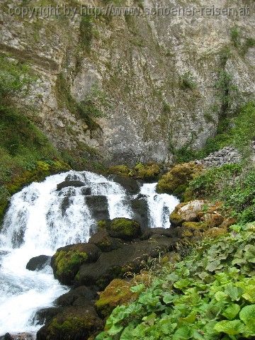 Tara Karstquelle Ljutica