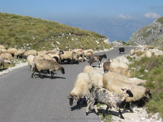 DURMITOR > Sedlopass