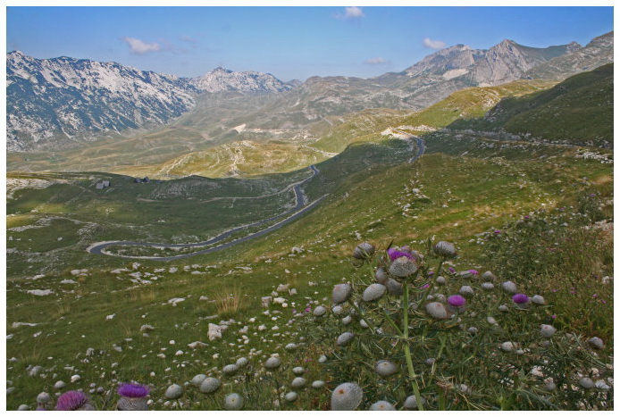 Zabljak > Sedlo Pass