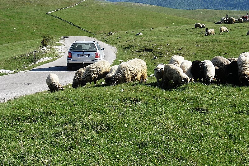 Zabljak > Hochebene