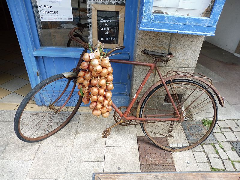 Roscoff Zwiebel