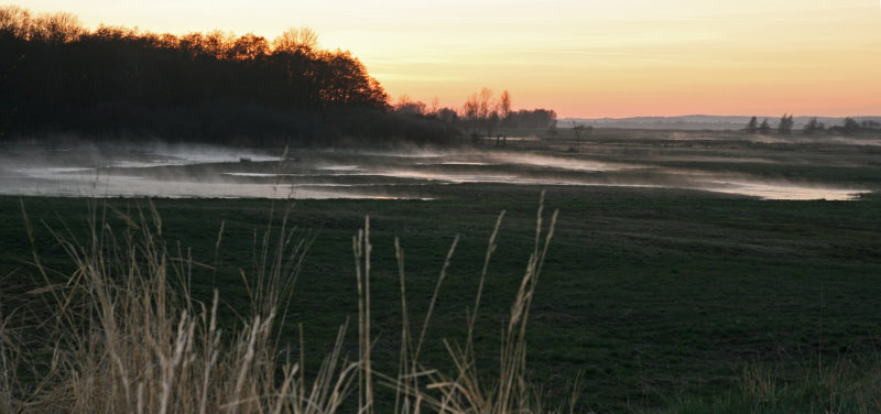 Rügen bei Gager