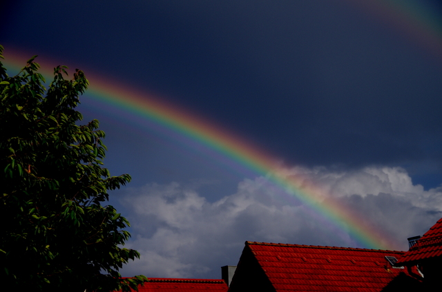 Regenbogen