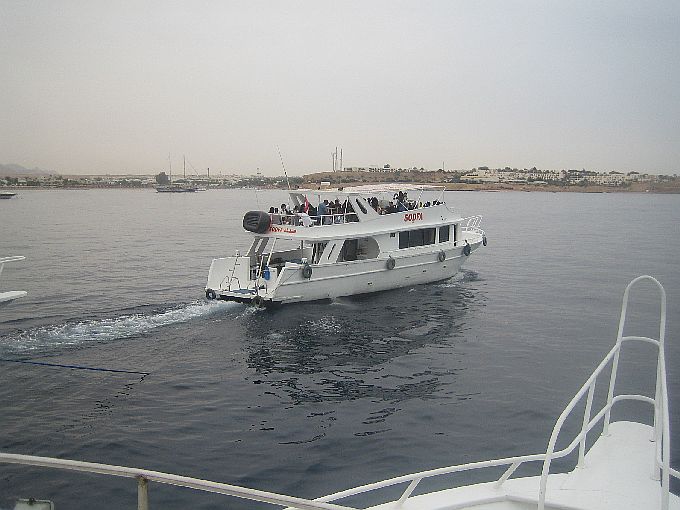 Sinai Sharm el Sheik 8