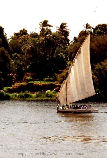 Assuan Perle am Nil 7