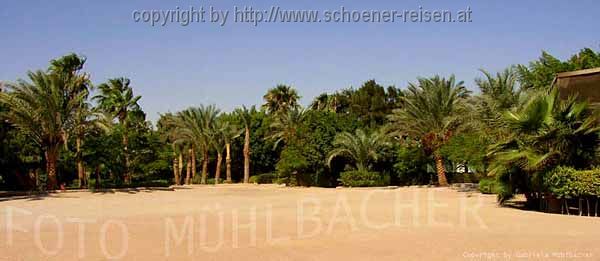 Hurghada / Red Sea 3