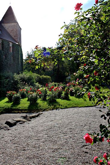 Wasserburg Heidenreichstein 8