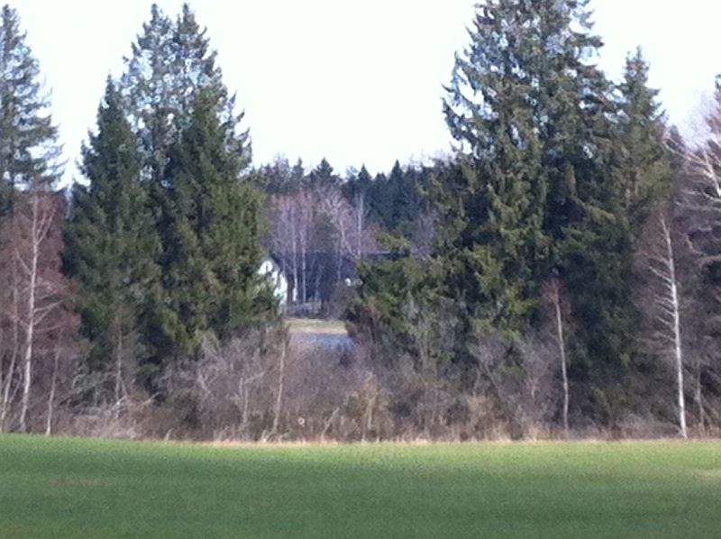 Bayern  Eßsee  Max-Planck-Institut für Ornithologie