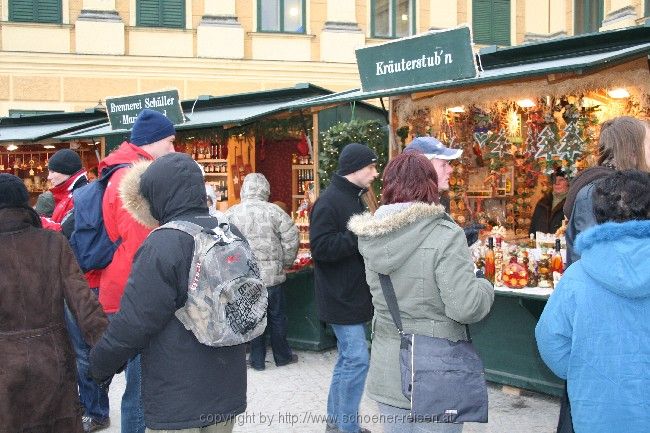 Schönbrunn > Weihnachtsmarkt 3