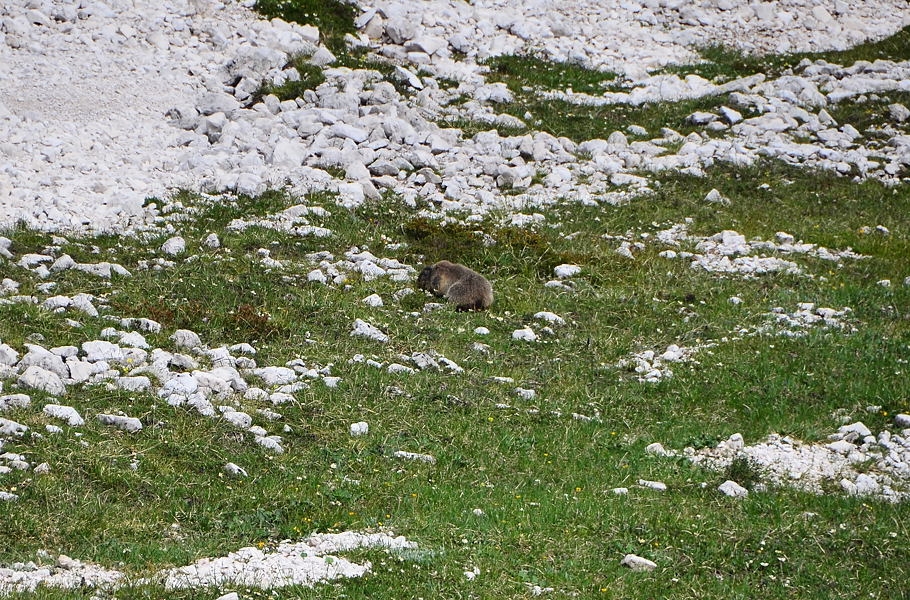 Wanderung Obernbacher Spitze DSC_0408