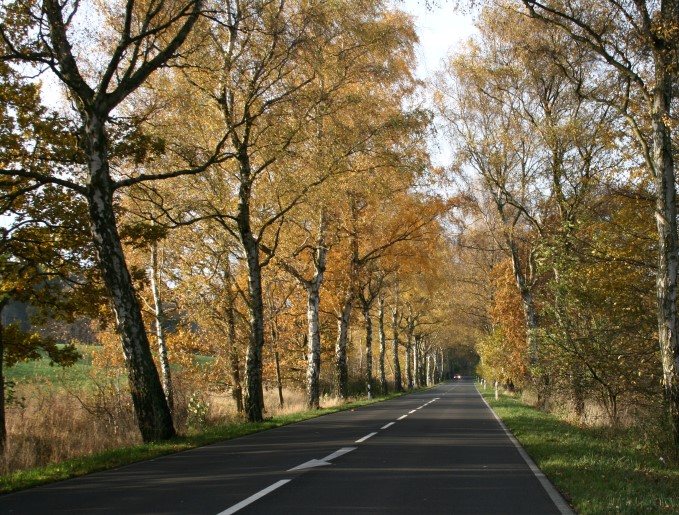 Alleen auf Rügen 2