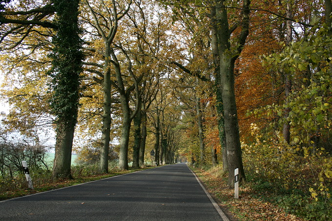 Alleen auf Rügen 4