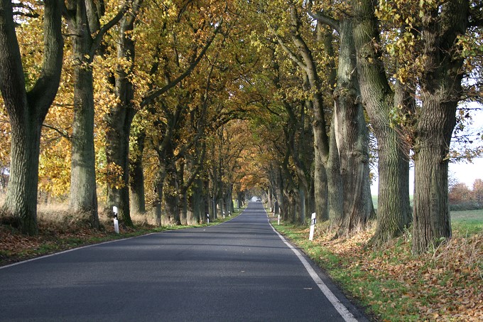 Alleen auf Rügen 5