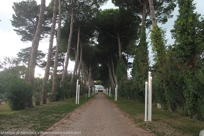 I: MARINA DI BIBBONA > Schirmpinien > Zufahrt Hotel Marinetta