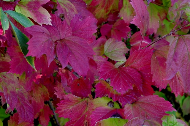 Ausflug an einem traumhaften Herbsttag