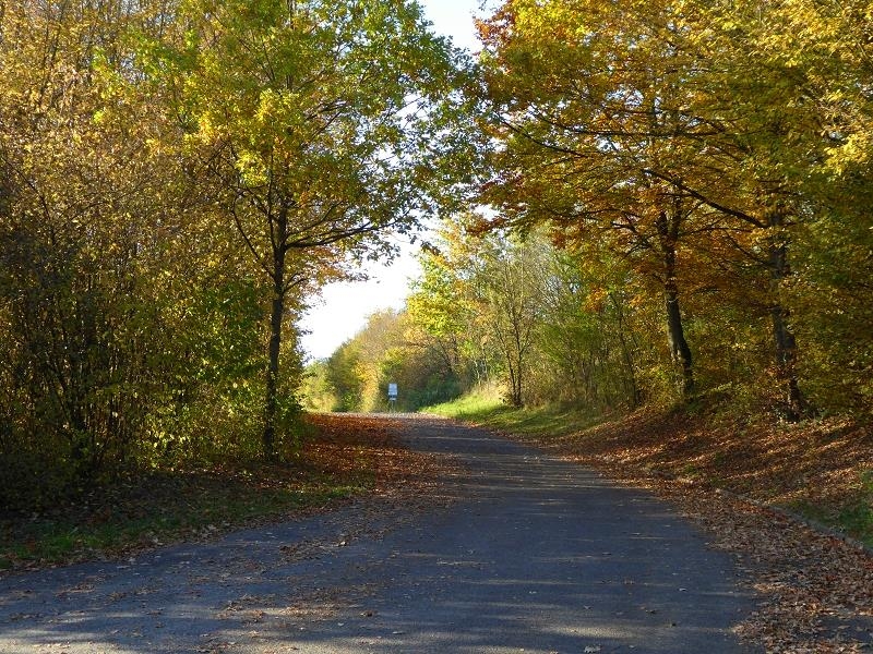 eine Tour im Herbst