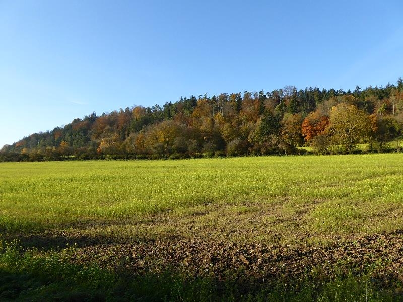 eine Tour im Herbst