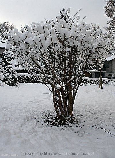 FORSYTHIE im weißen Kleid