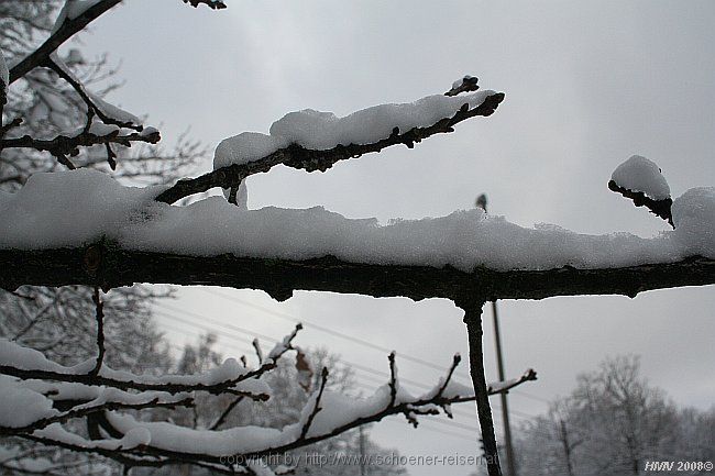 SCHNEE > belegte Äste