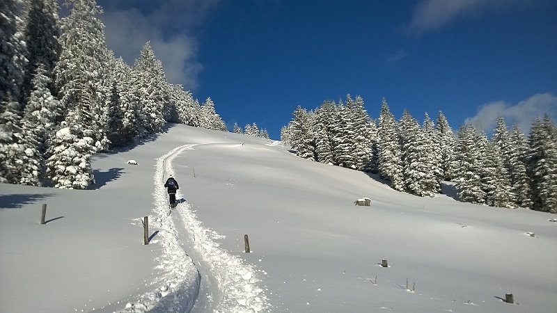 Hochsteiermark Winter (1)