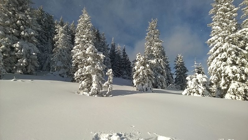 Hochsteiermark Winter (2)
