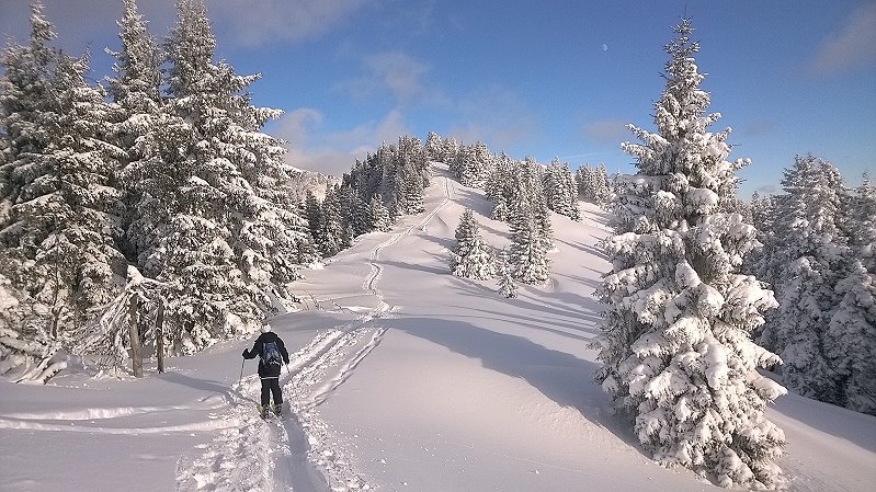 Hochsteiermark Winter (3)