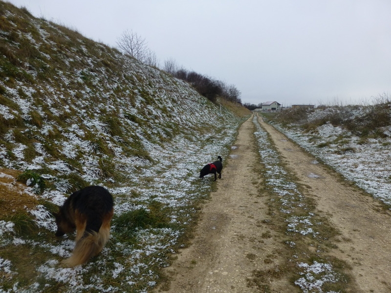 Spaziergang im ersten Schnee 2014