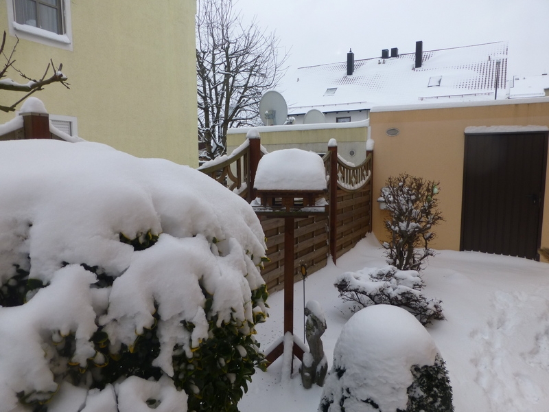 Spaziergang im ersten Schnee 2014