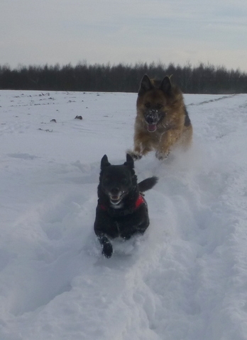 Spaziergang im ersten Schnee 2014