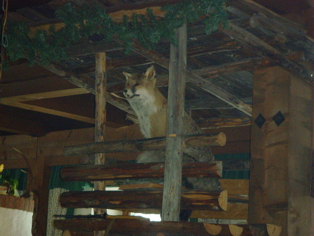 Finkau im romantischen Wildgerlostal 4