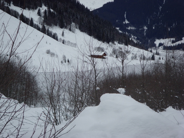 Finkau im romantischen Wildgerlostal 5