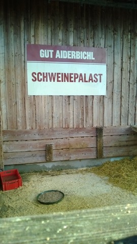 Ausflug nach Aiderbichl