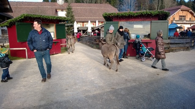 Ausflug nach Aiderbichl