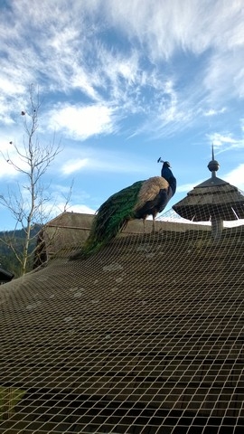 Ausflug nach Aiderbichl