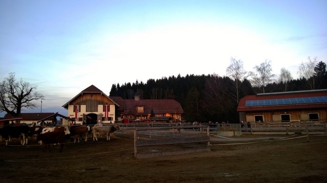 Ausflug nach Aiderbichl