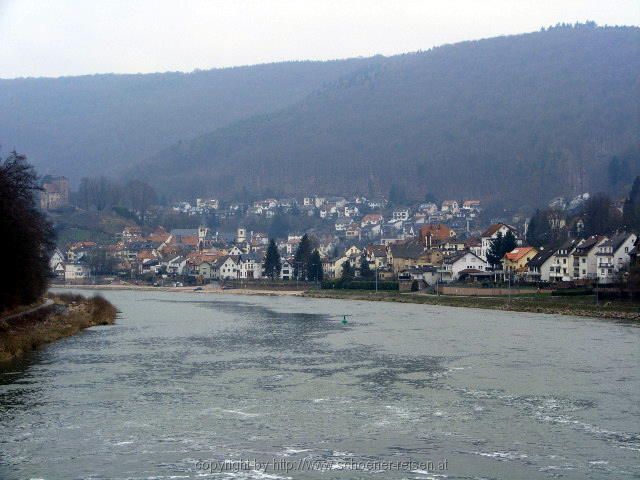 Neckarsteinach 3