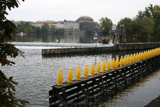 Insel Kampa 6