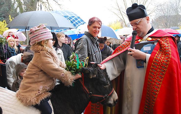 LINZ > Sankt Peter > Virtuelle Tiersegnung