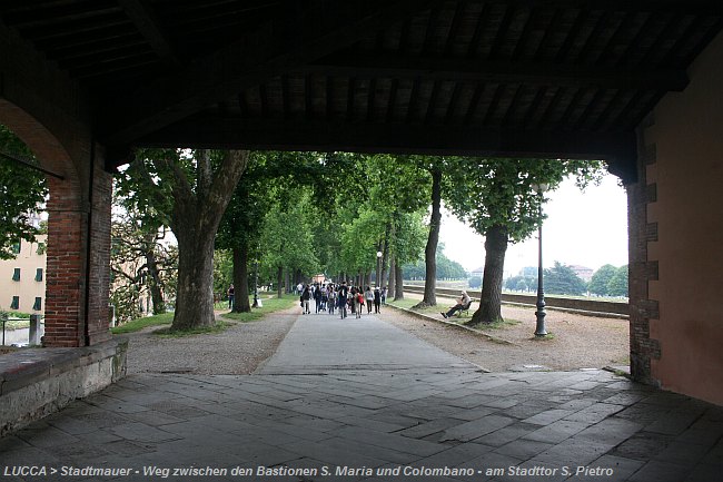 LUCCA > Stadtmauer - Weg zwischen den Bastionen S. Maria und Colombano - am Stadttor S. Pietro