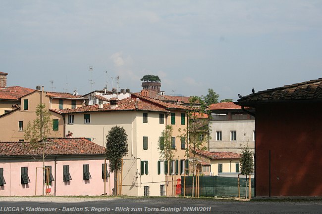 LUCCA > Stadtmauer > Bastion S. Regolo > Blick zum Torre Guinigi mit 5 Steineichen