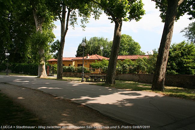 LUCCA > Stadtmauer > Weg zwischen den Bastionen San Salvatore und S. Pietro