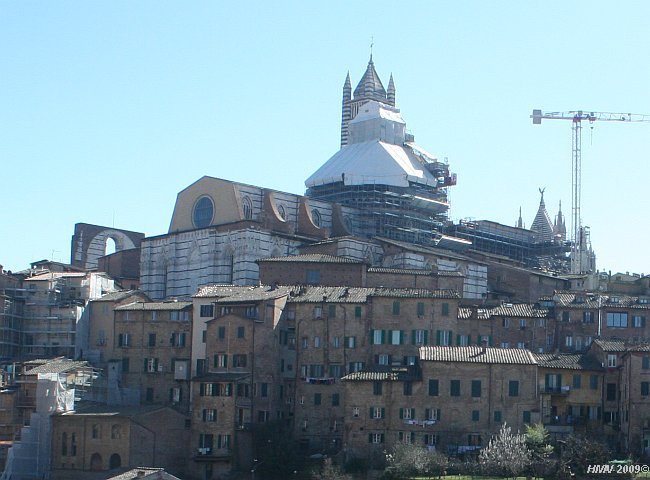 SIENA > Dom Santa Maria Assunta